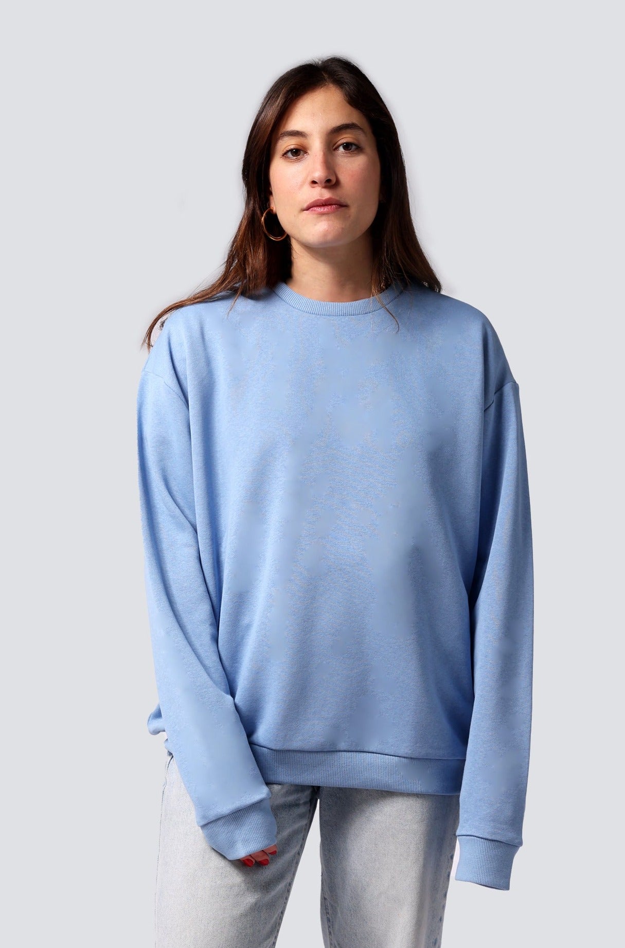 LEXO SWEATSHIRT LIGHT BLUE