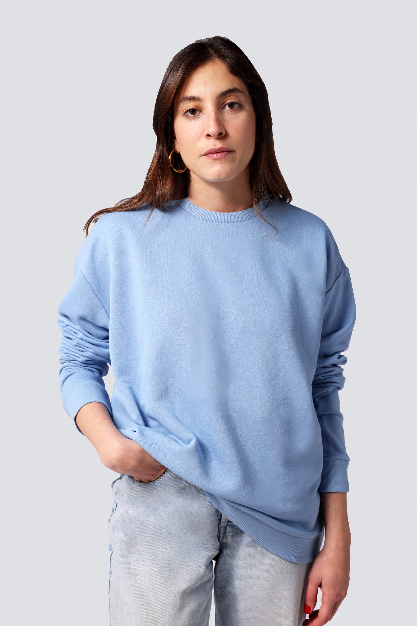 LEXO SWEATSHIRT LIGHT BLUE